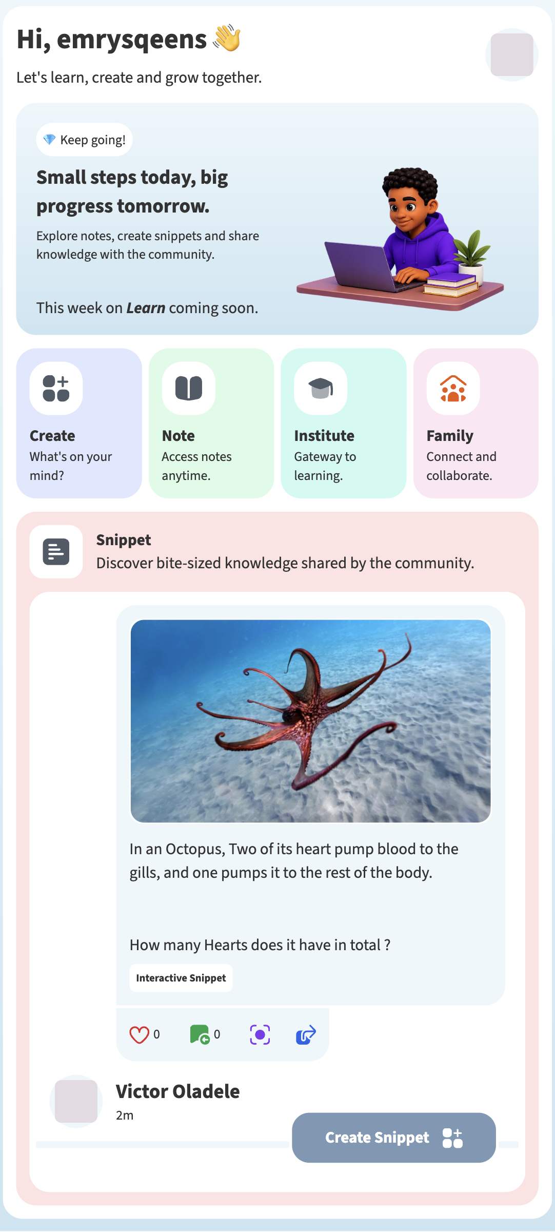 Learn mobile app showing student learning hub, active snippets, and courses.