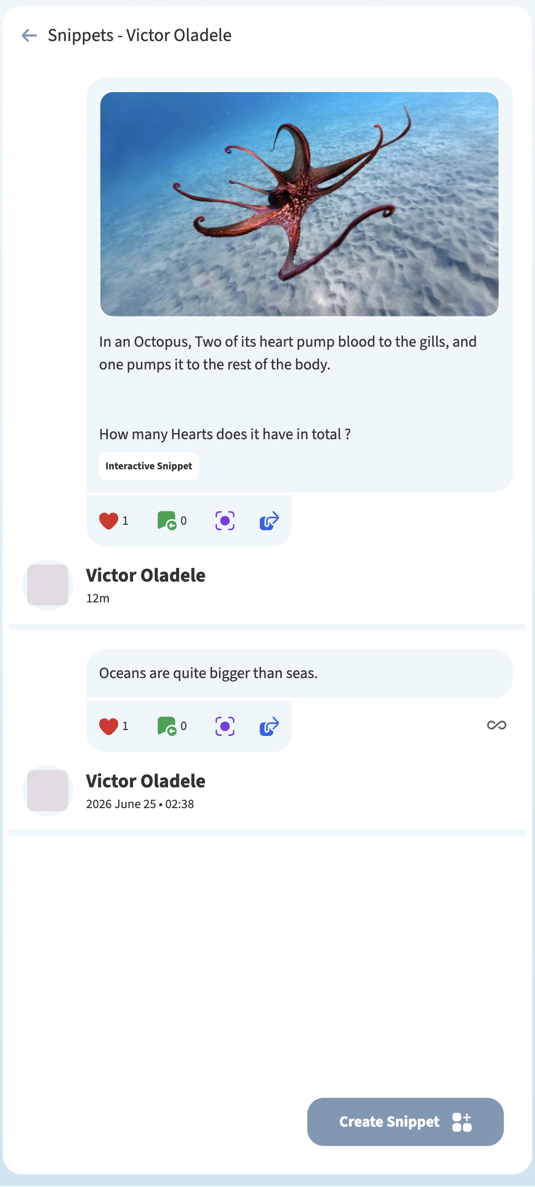 Learn mobile app Snippets feed displaying interactive octopus question, likes, comments, and creation action.